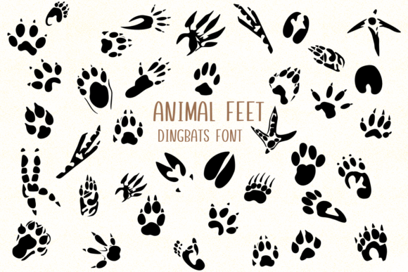 Animal Feet: A Playful Font for Nature-Inspired Design